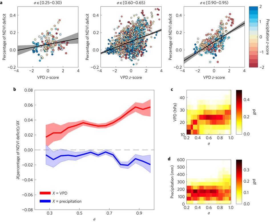 Sensitivity of NDVI to isohydricity