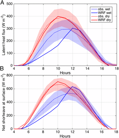Diurnal fluxes