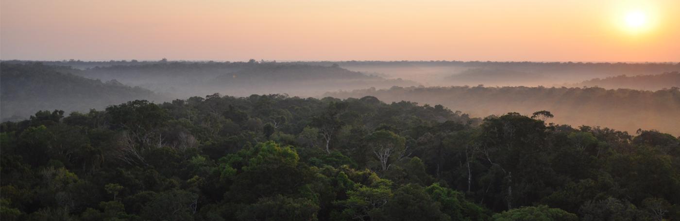sun over the amazon